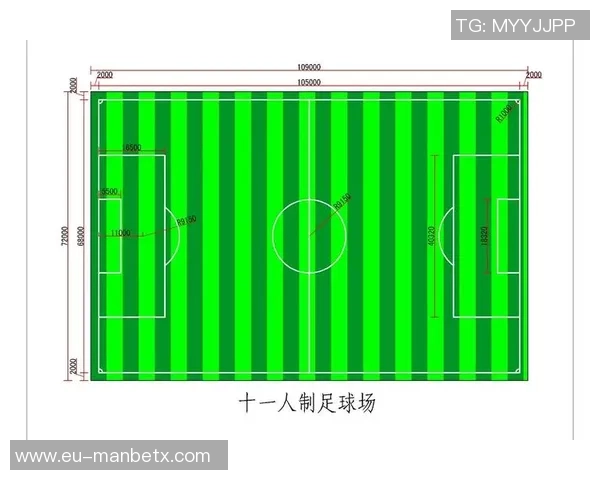 标准11人足球场尺寸详解及其对比赛的影响分析 标准11人足球场尺寸详解及其对比赛的影响分析