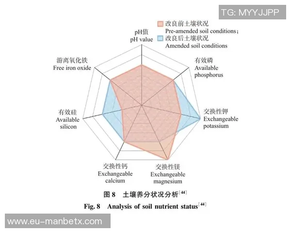 沙滩足球45赛季精彩回顾与未来发展展望分析
